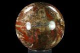 Colorful, Petrified Wood Sphere - Madagascar #135322-1